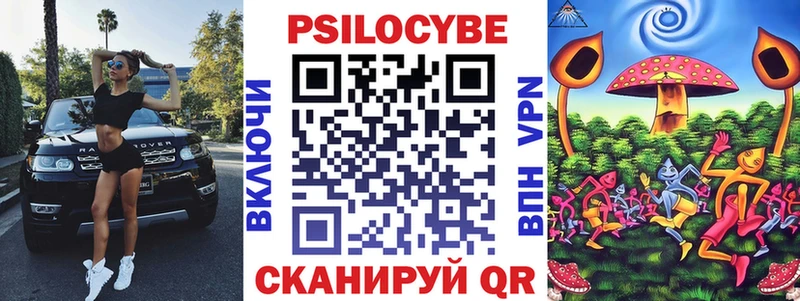 купить наркотик Малгобек Псилоцибиновые грибы MAGIC MUSHROOMS