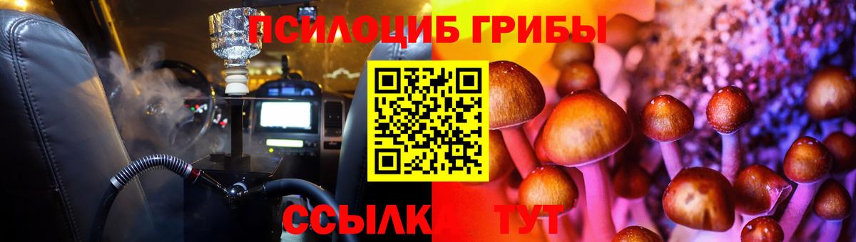 Галлюциногенные грибы GOLDEN TEACHER Малгобек
