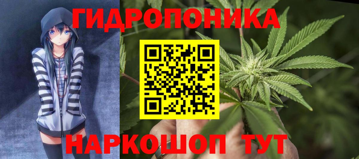 Бошки марихуана OG Kush  Бошки Шишки сатива  Каннабис планчик  Вход с VPN  Малгобек 